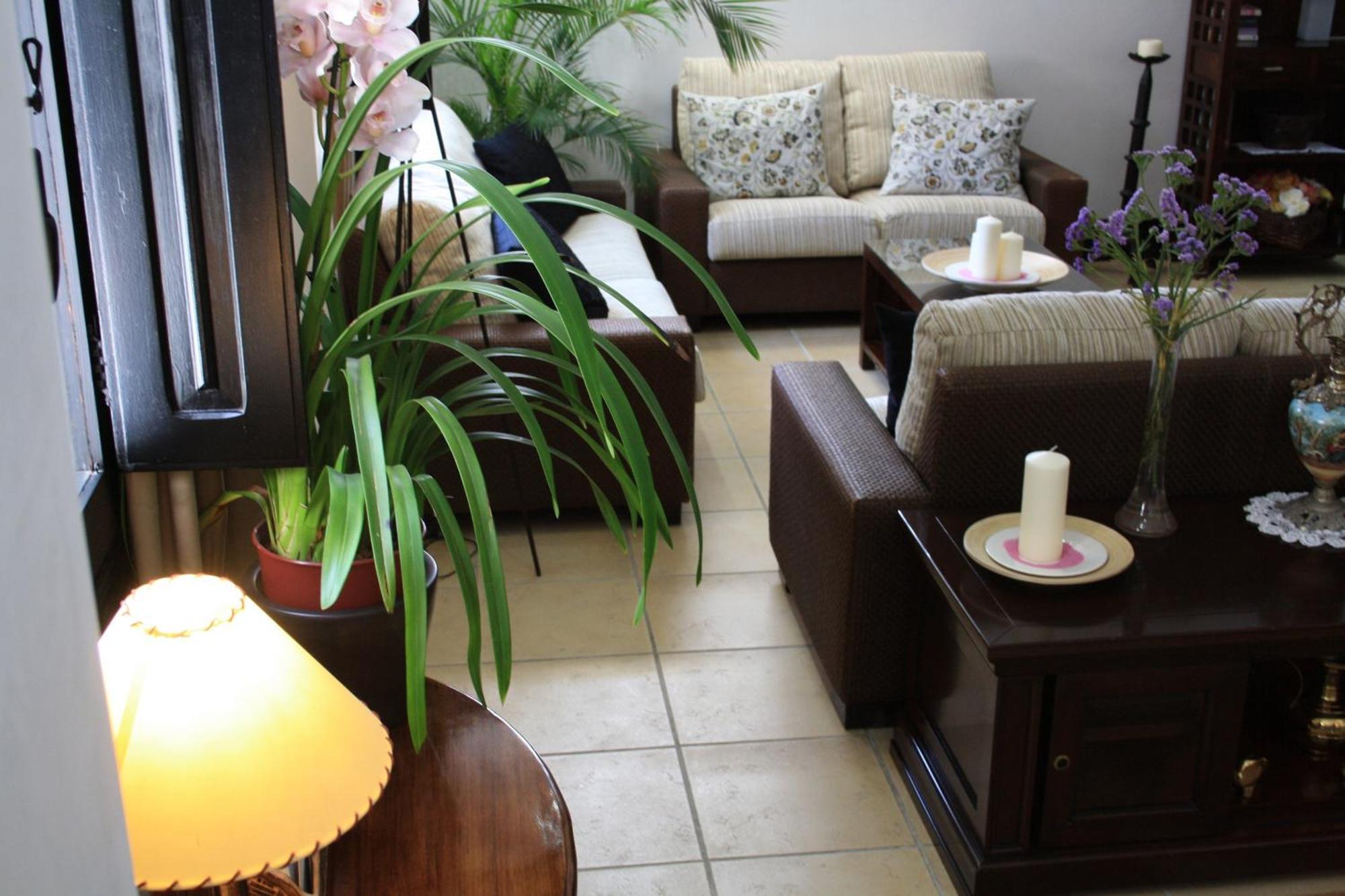 מלון Santuario San Jose (Adults Only) מראה חיצוני תמונה