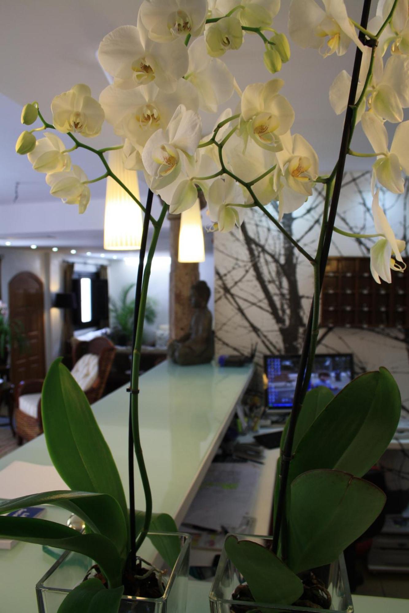 מלון Santuario San Jose (Adults Only) מראה חיצוני תמונה